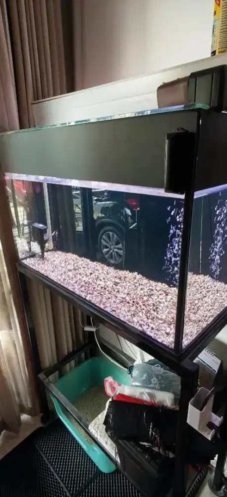 Jual Ikan Dan Aquarium