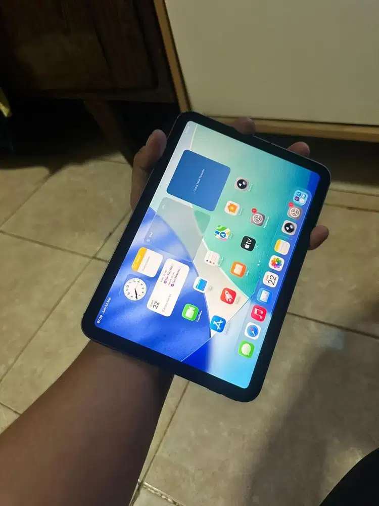 Ipad mini 6 64gb celluler ibox