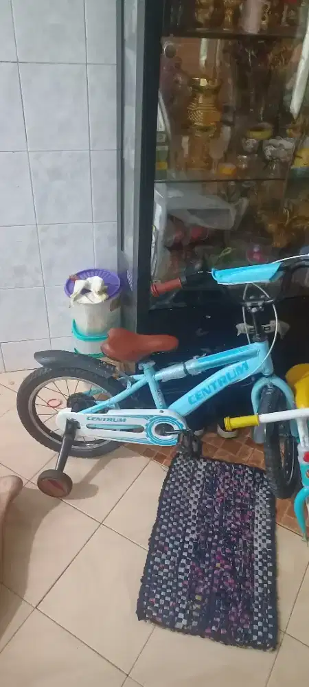 SEPEDA ANAK RODA 4