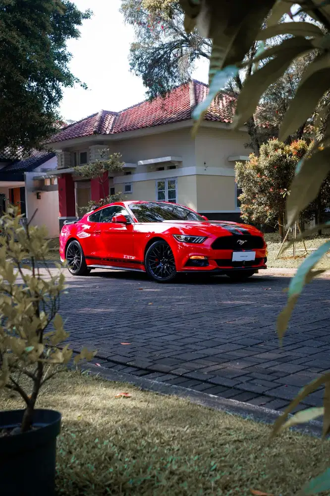 FORD MUSTANG ECO BOOST 2016