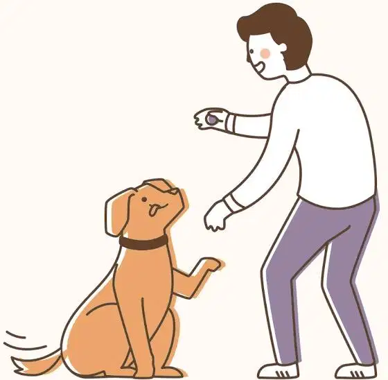 (Butuh Cepat) ART Atau KENNEL BOY/GIRL (MENGINAP)