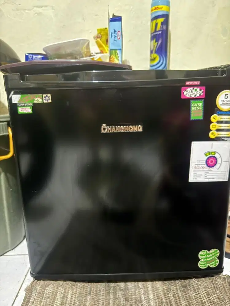 Dua Kulkas panasonic dan Changhong