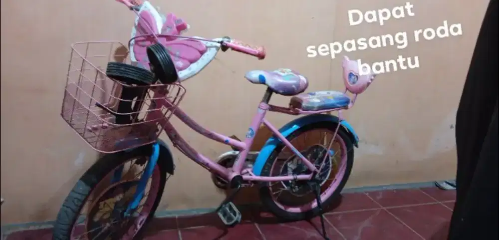Sepedah 18 inch
