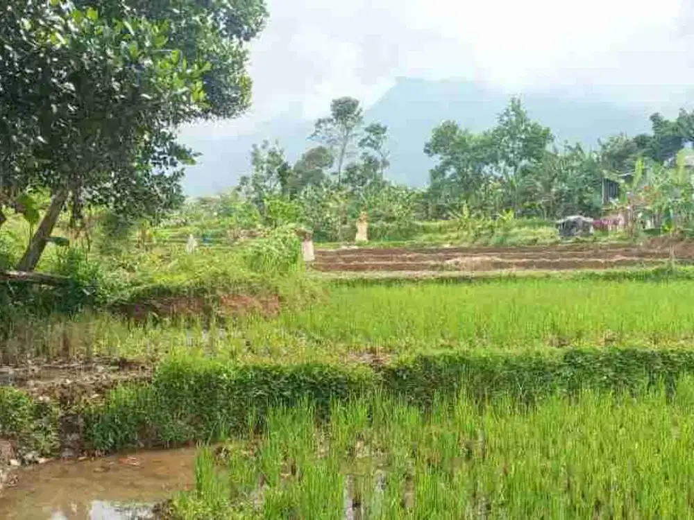 di jual lahan SHM view gunung akses mobil di cigombong