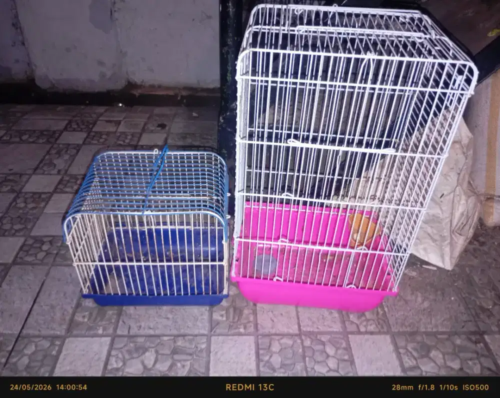 Kandang hamster
