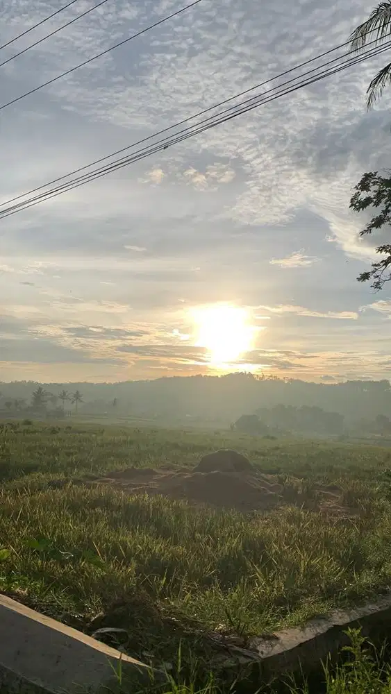 Dicari karyawan untuk jualan