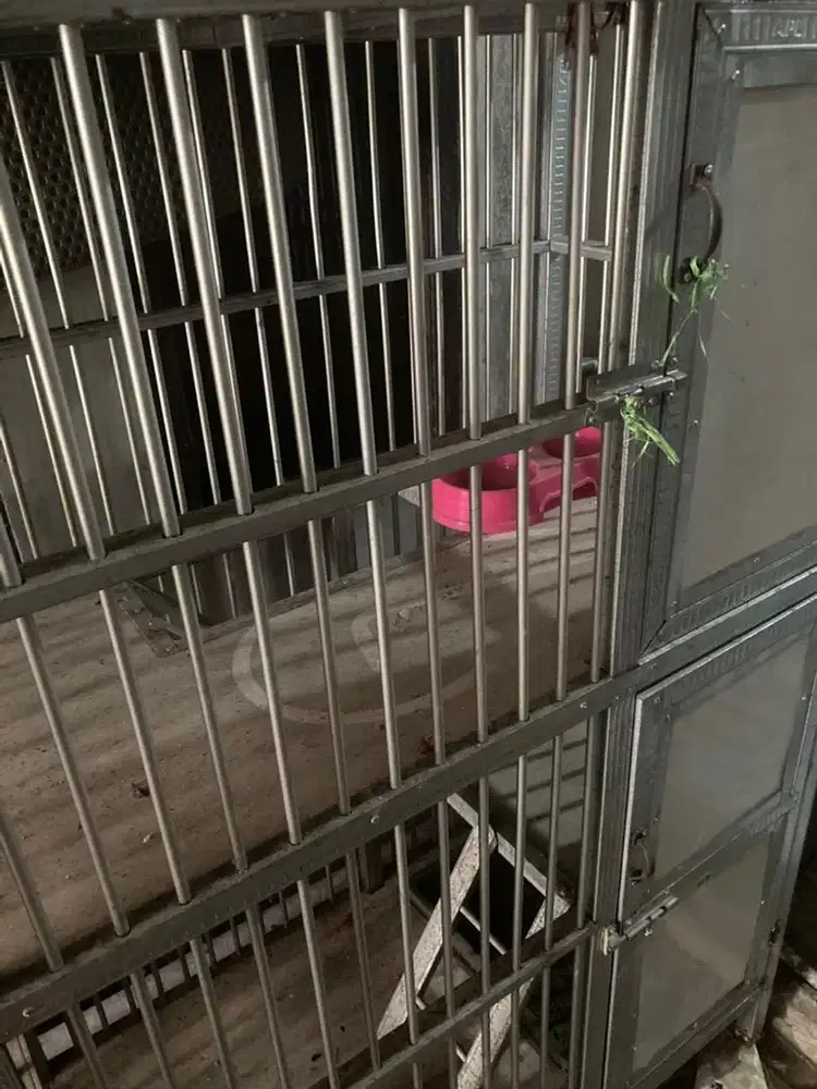 Dijamin murah Rumah/ kandang kucing 3 lantai