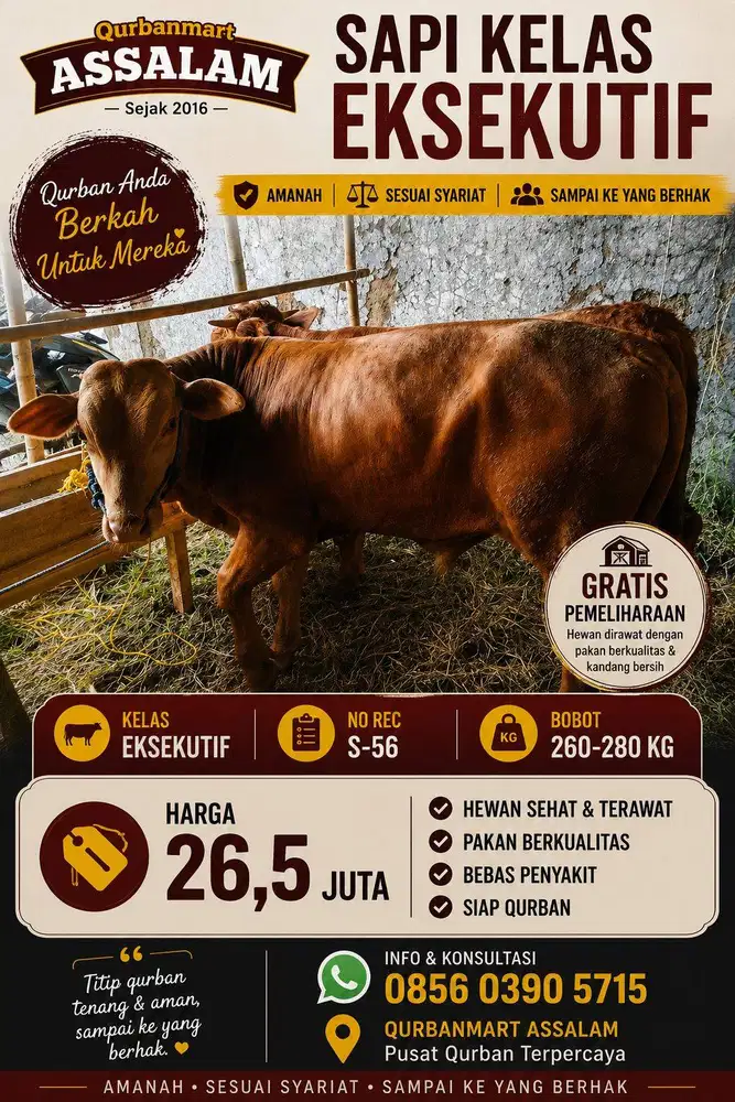 Qurban Sapi Patungan murah bisa dibawa pulang 1/7 nya