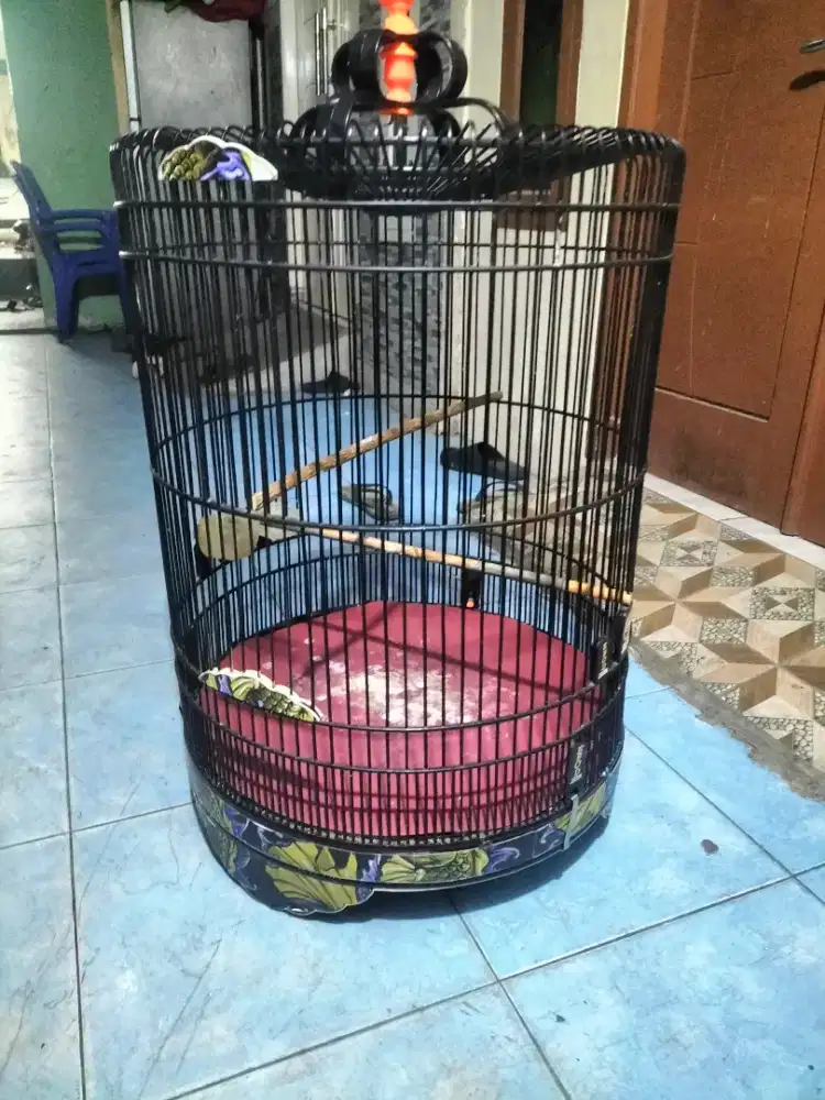 jual kandang burung murai no 2