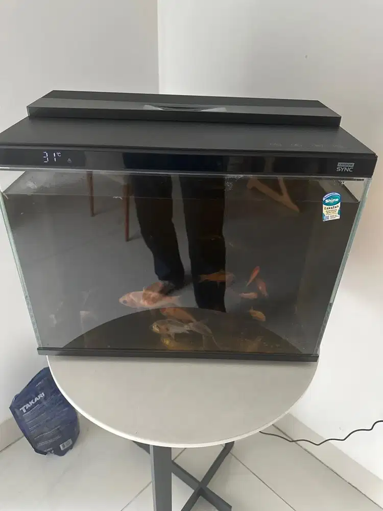 Aquarium krisbow sync