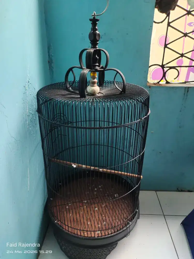 Kandang lovebird besar