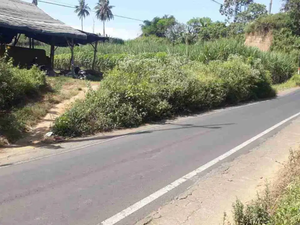 Tanah Dijual Poros Tajinan Malang Cocok Untuk Rumah Subsidi