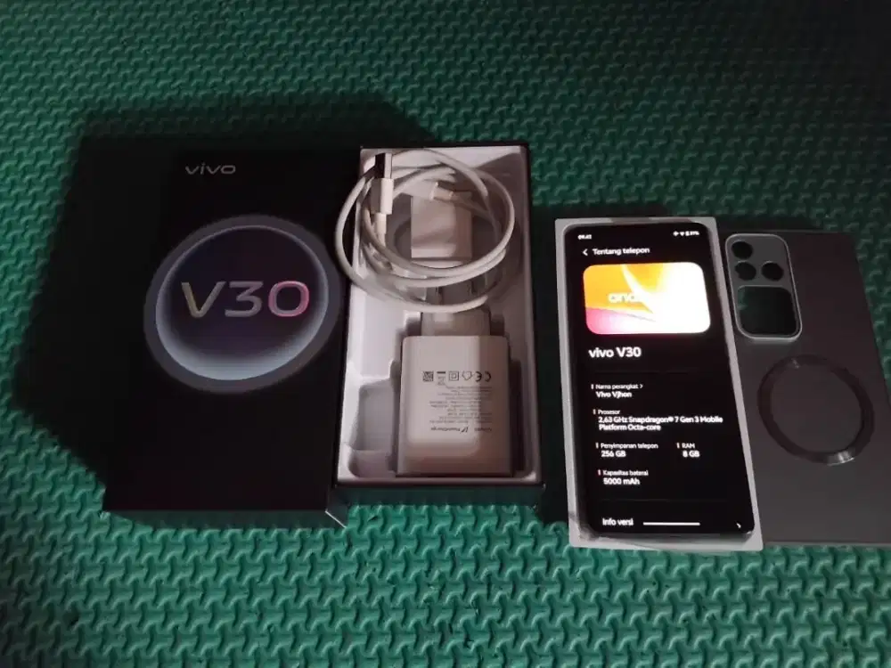 Vivo V30 5G 8/256