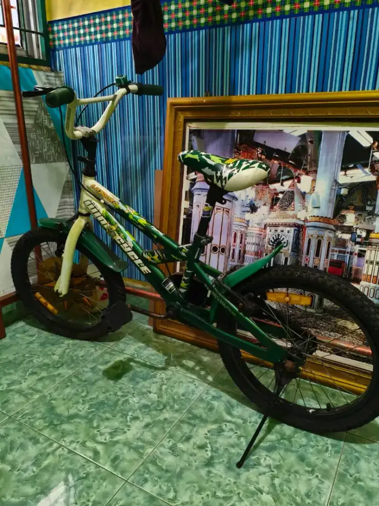 Sepeda anak wimcycle