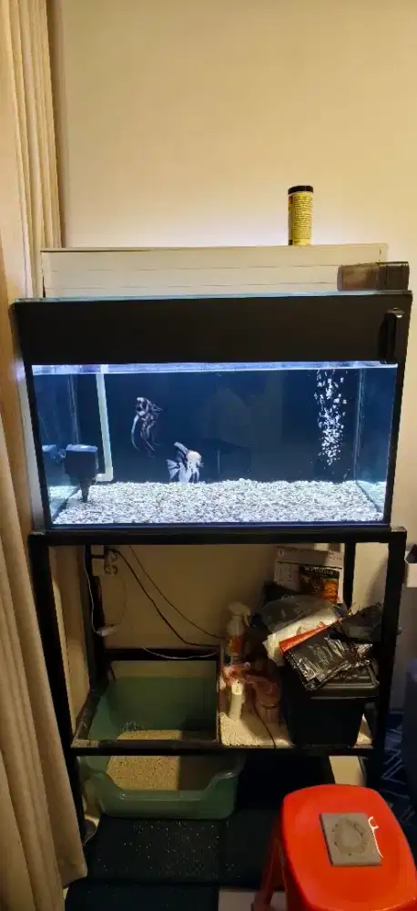Jual Ikan Dan Aquarium