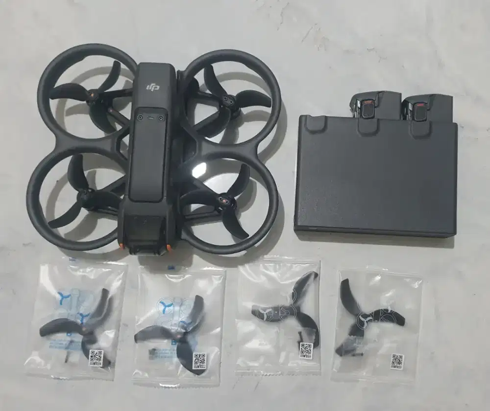 Dji avata 2 only