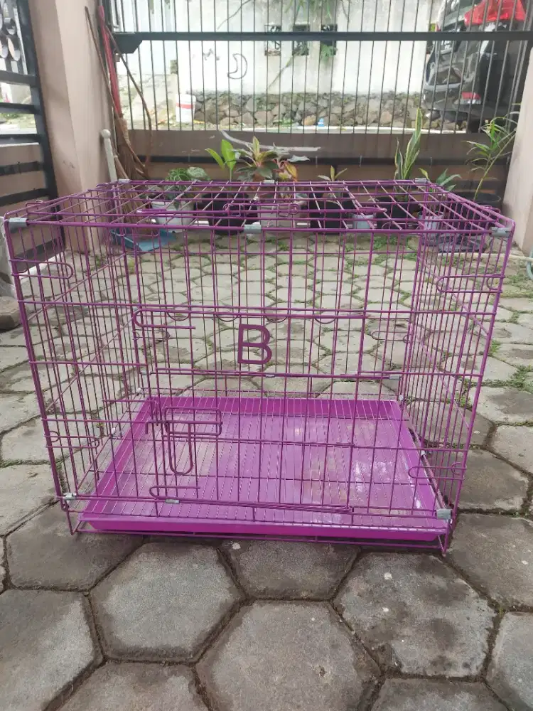 Kandang Kucing, Kelinci, Burung