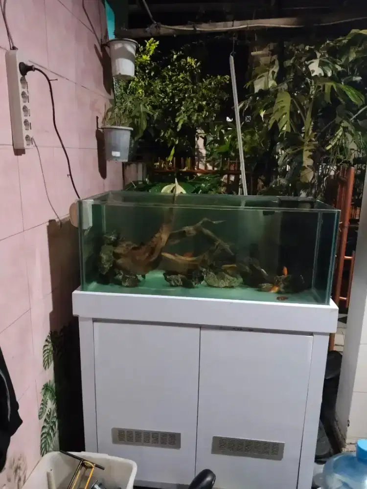Aquarium sum filter cabinet - aquarium set - aquarium  laut
