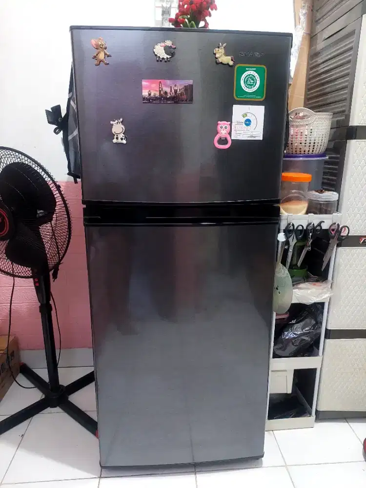 Kulkas Sharp 2 Pintu (SJ 195)