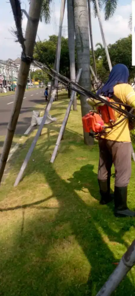 Jasa Potong Rumput halaman rumah