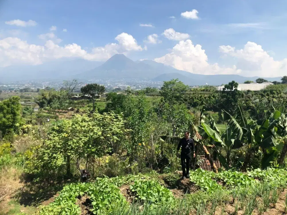 DIJUAL MURAH, TANAH DEKAT TAMAN DOLAN BATU