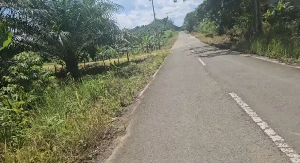 Bismillah Tanah dijual