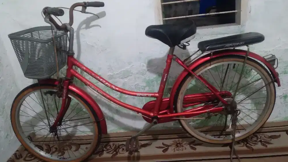 Jual sepeda  dewasa