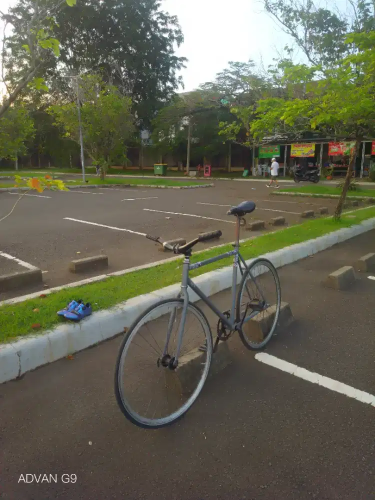 fullbike lokal L, set up freestyle