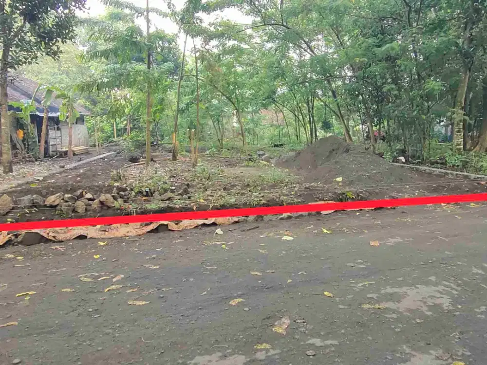 TANAH PEKARANGAN DI DEKAT SEKOLAH BUDI MULIA JL RAYA TAJEM MAGUWOHARJO SLEMAN YOGYAKARTA