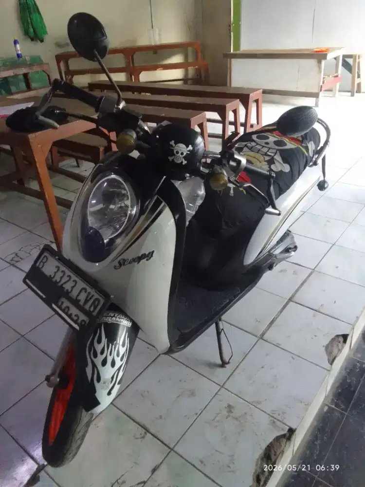 Scoopy Karbu putih