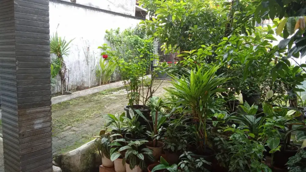 Di jual perumahan di Depok sawangan
