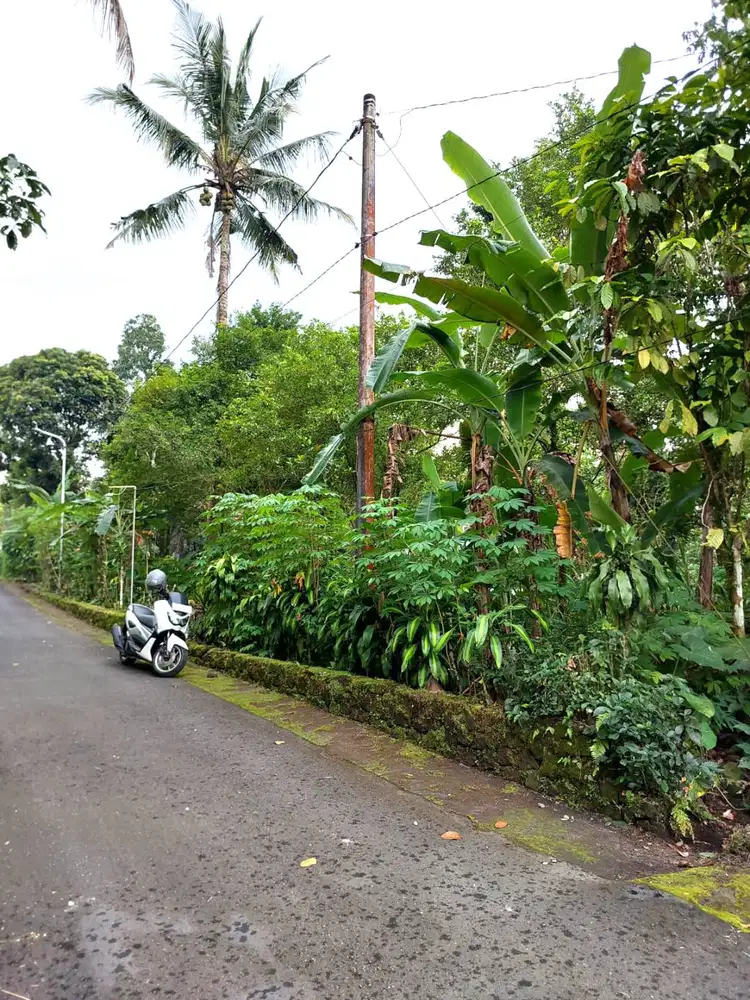 Tanah Pekarangan di Area Sejuk dekat Merapi Park Pakem