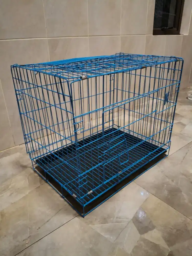 Kandang kucing Baru