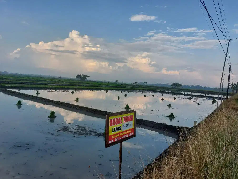 Dijual Tanah Sawah pinggir Jalan 300 m Kedunggalar