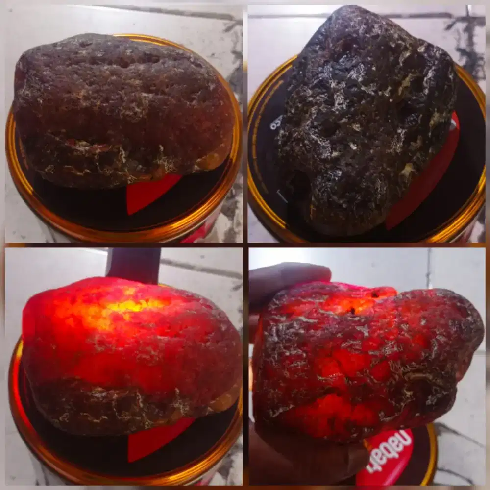 Bongkahan Batu Cempaka full daging