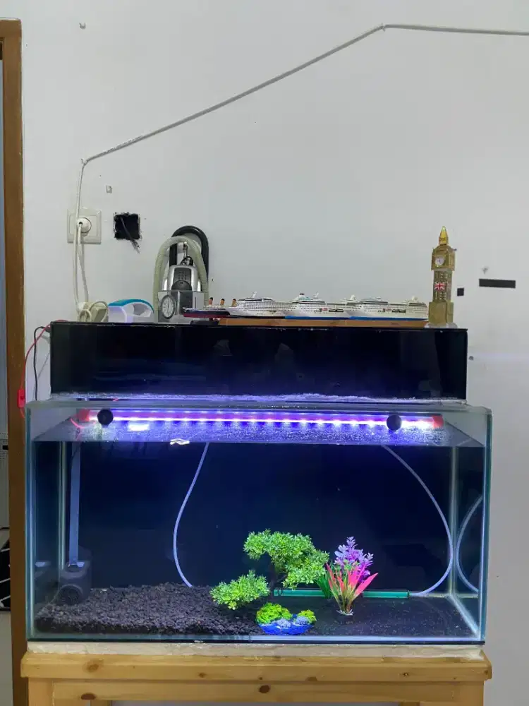 “Akuarium Lengkap Siap Pakai, Cocok Buat Ikan Hias”