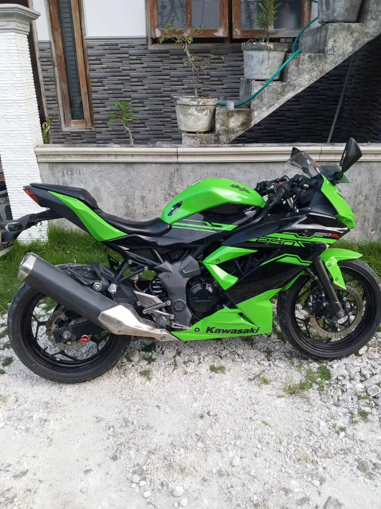 Ninja 250sl mono
