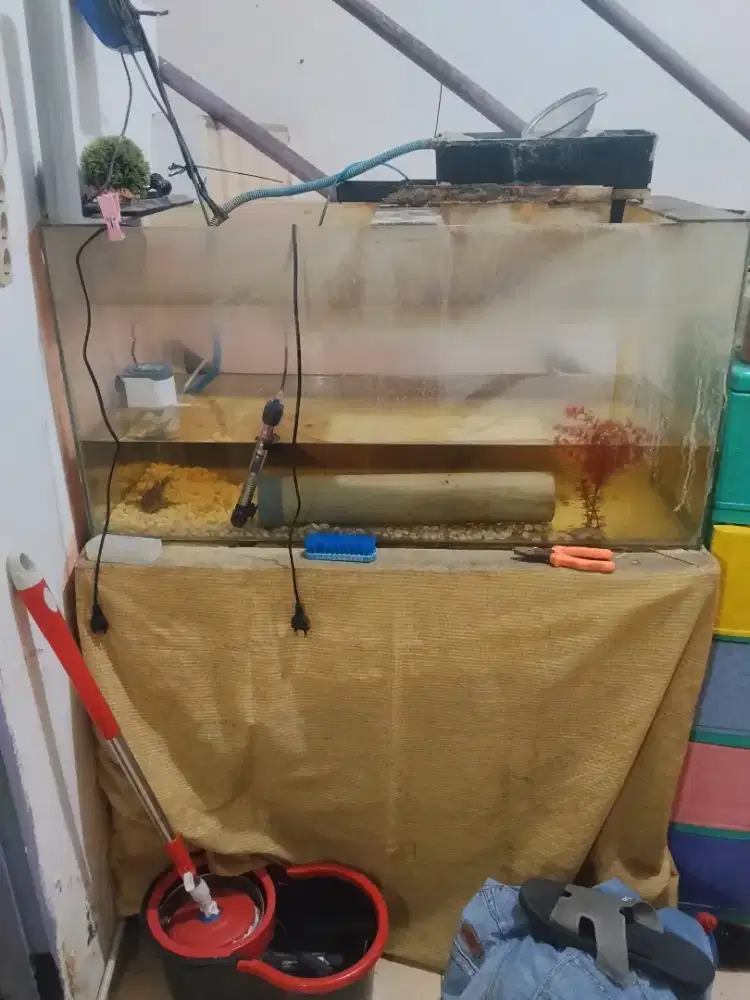 Aquarium 102 x 45 x 51