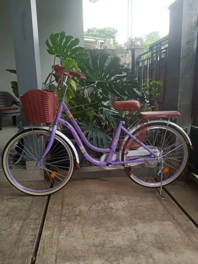 Sepeda bekas New Phoenix