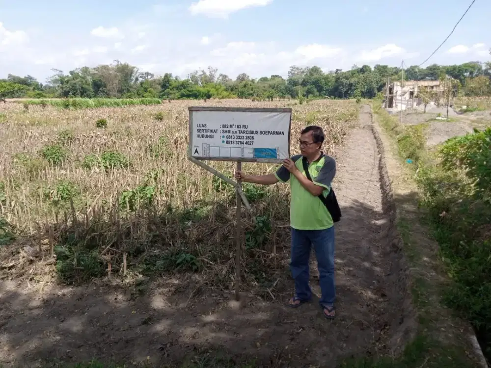 Sawah irigasi di kota Blitar