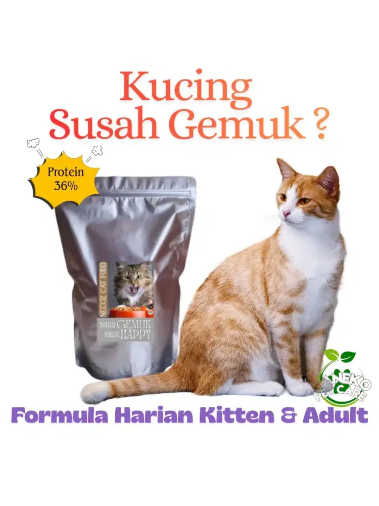 Makanan Penggemuk Kucing Necoz Cat Fatter 1kg  - COD Bekasi