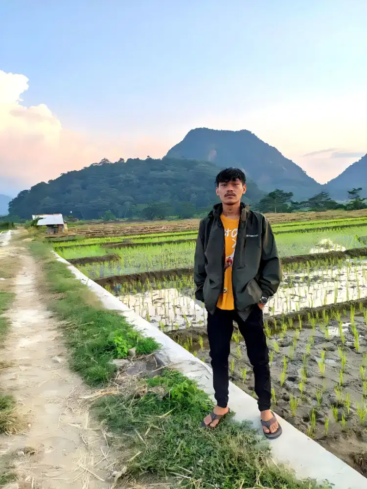 Saya sedang mencari pekerjaan