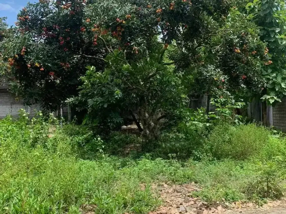 Dijual tanah murah area Kaliurang km6