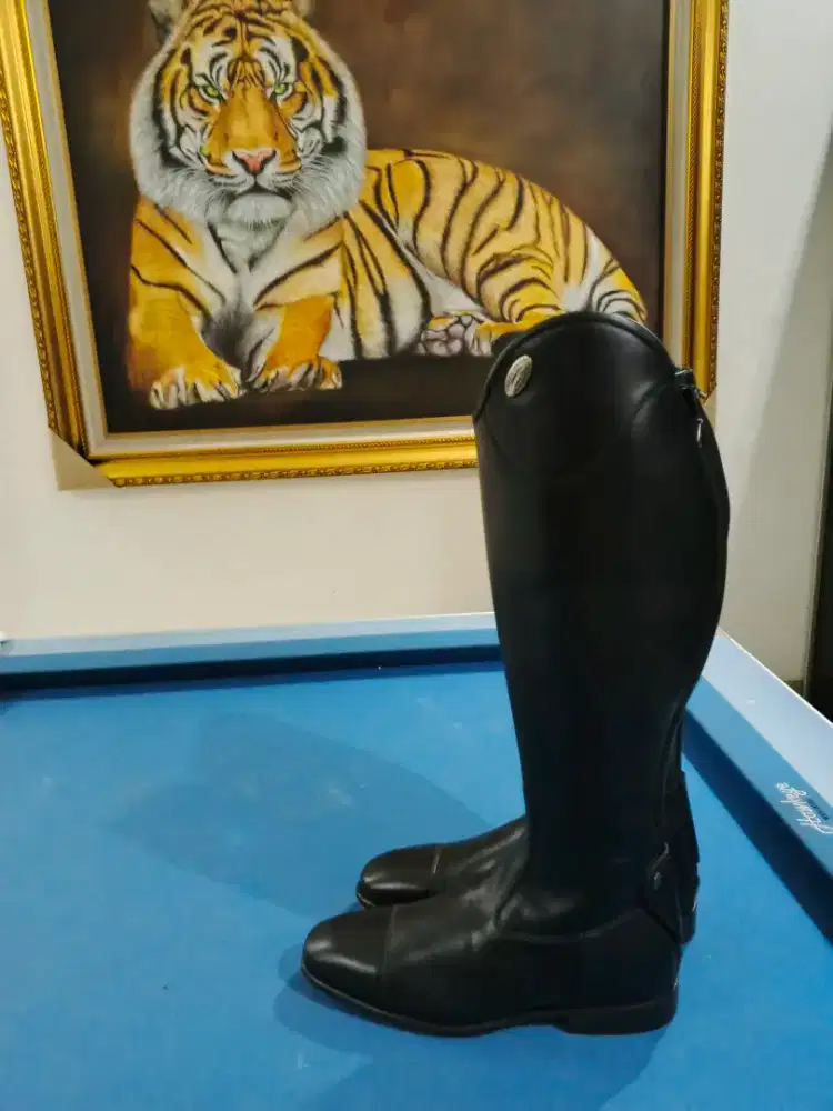 Sepatu riding berkuda import