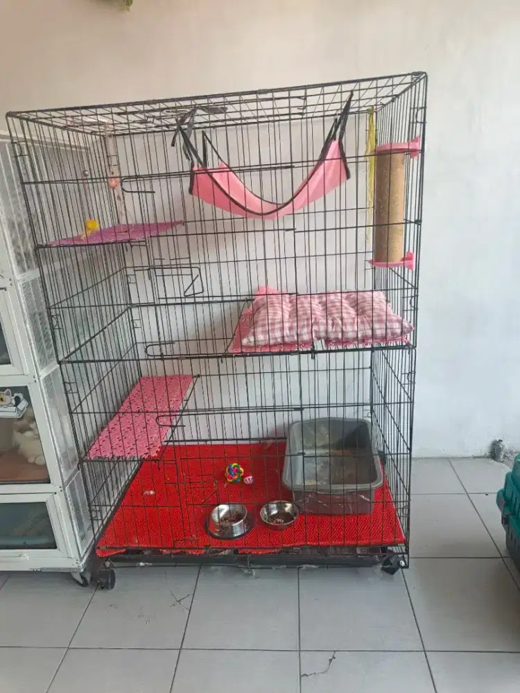Jual Rugi Kandang Kucing