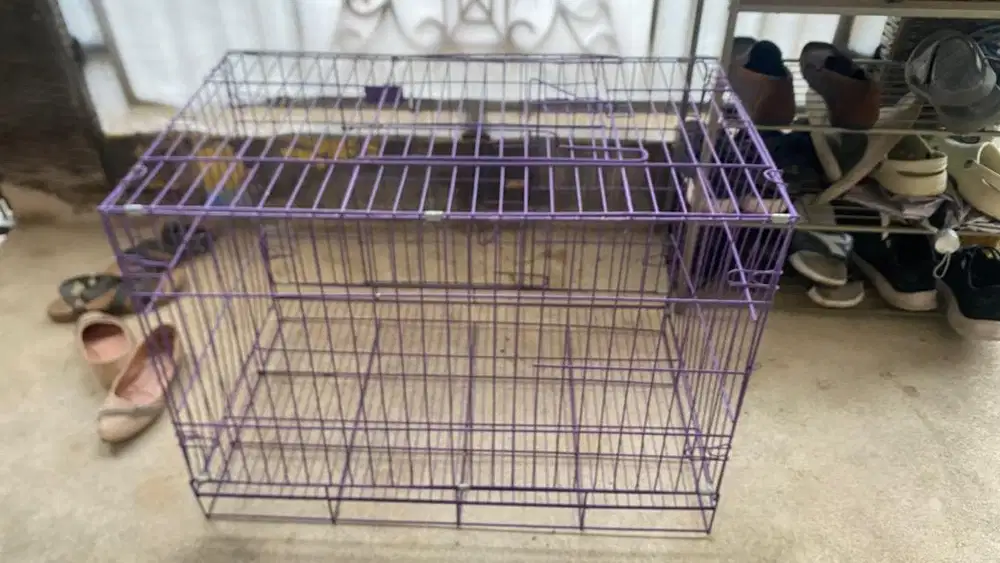 Kandang 75x55x45200