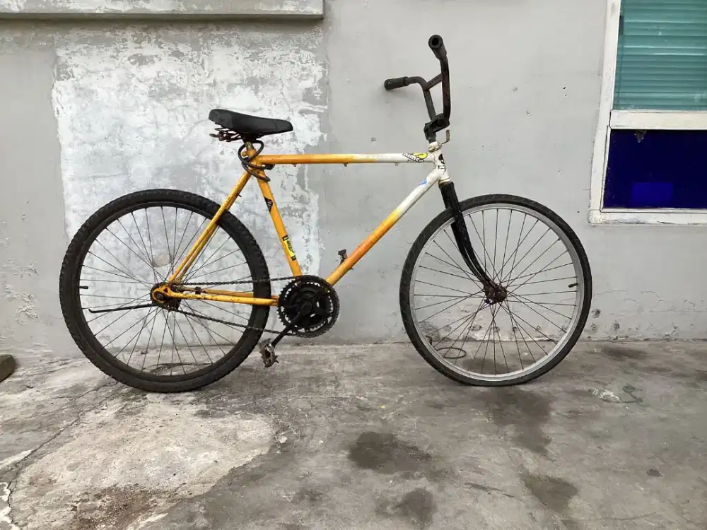Sepeda vintage custom normal terawat