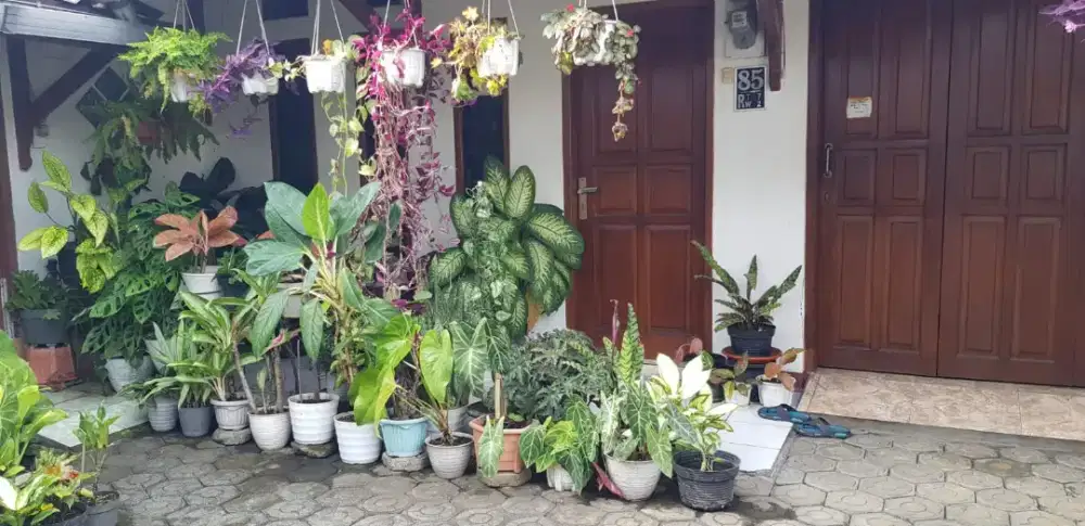 Rumah Sayap Supratman