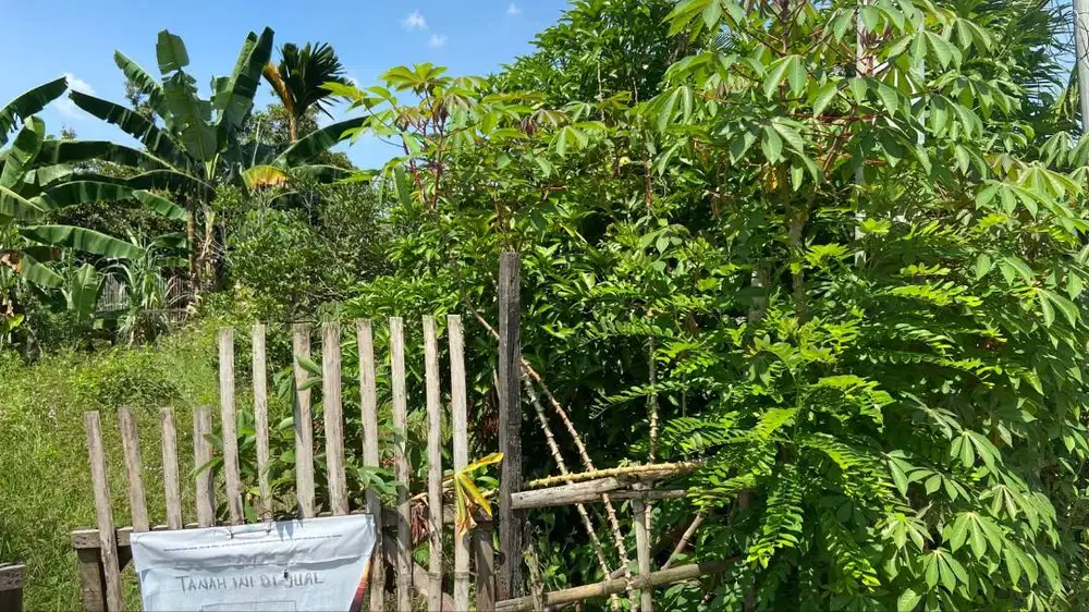Dijual Cepat Tanah Kosong (2 bidang)