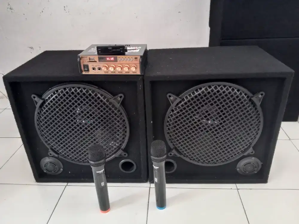 Sound karaoke 12 in wireless